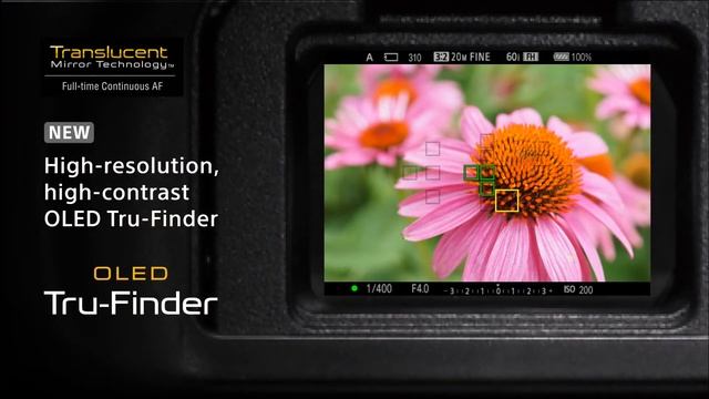 SONY - Présentation du SLT-A58 смотреть онлайн