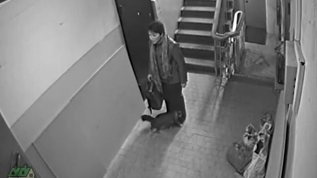 Поможем, чем сможем смотреть онлайн