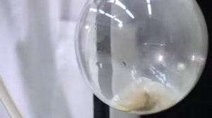 ВЗАИМОДЕЙСТВИЕ АЦЕТИЛЕНА С БРОМНОЙ ВОДОЙ