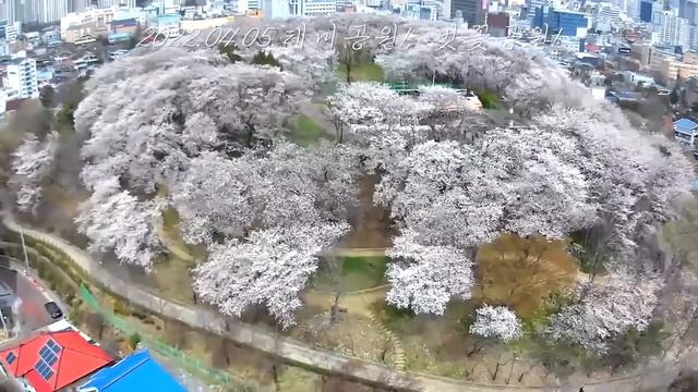 2022.04.05.11:30분 테미공원 #01 sjrc f7 drone 4k 항공촬영! 신나는 음악과 함께....ㅎㅎ смотреть онлайн