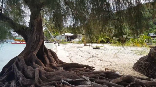 Таити: Часть 27: Неожиданности на острове Бора-Бора смотреть онлайн