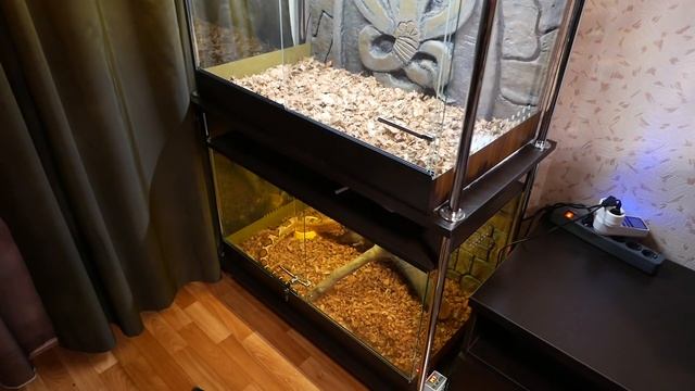 НУ ШО ТАМ СО ЗМЕЯМИ!? смотреть онлайн