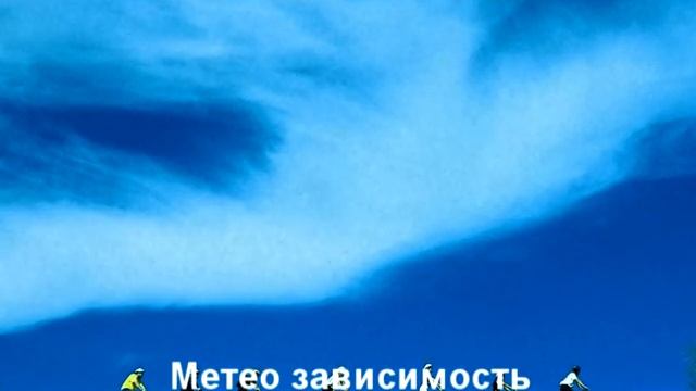 Метеозависимость