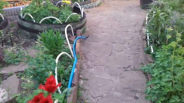 весь сад и огород приведён в порядок,можно высаживать рассаду смотреть онлайн