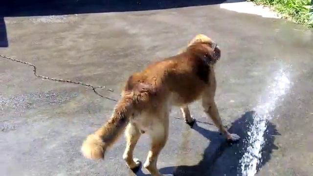 Приколы смотреть онлайн