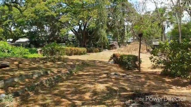 Life in Thai 2/Tiger Park/Заброшенный парк динозавров в Паттайе смотреть онлайн
