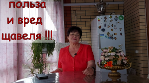 ПОЛЬЗА И ВРЕД ЩАВЕЛЯ ***ЩАВЕЛЬ ПОЛЕЗНЕЙШИЙ ВЕСЕННИЙ ЛИСТОВОЙ ОВОЩ !