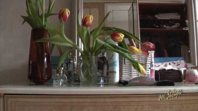 Тюльпаны 2 1 смотреть онлайн