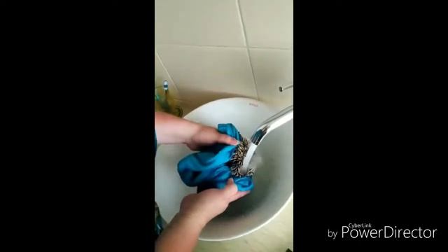 Китай. Пробую морского ежа.