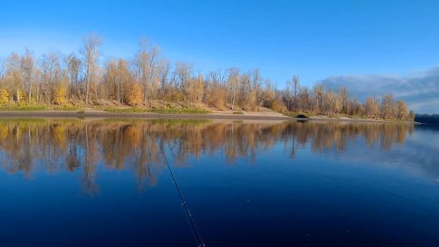 Отличная рыбалка на спиннинг! Ловля щуки и окуня на отводной поводок смотреть онлайн