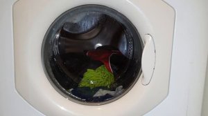 Ariston Margherita 2000 Rapid Cotton 60 1/2