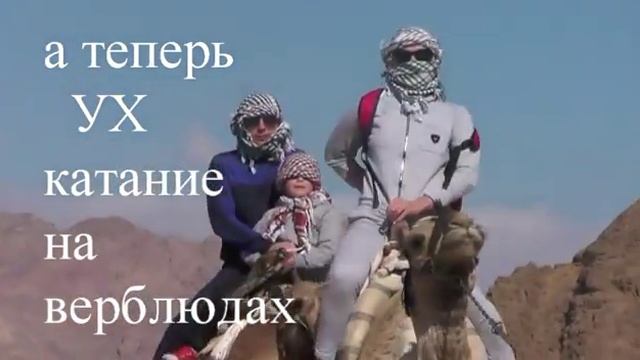 ВЕРБЛЮДЫ В ПУСТЫНЕ Sharm Ash Sheikh/Чем заняться в пустыне ОКНО В РЕЛАКС смотреть онлайн