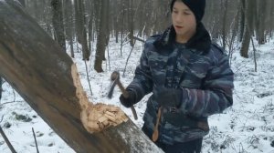 Валка дерева топором. How to chop wood with an ax bushcraft