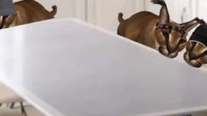 сериал про шлёпу «сбежавший» 2 сезон.