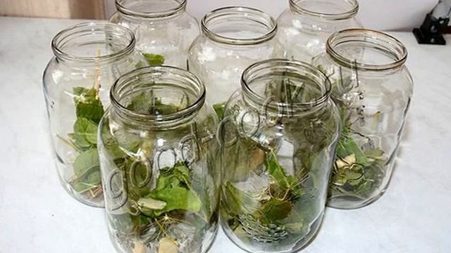 Салаты с Кедровыми Орехами