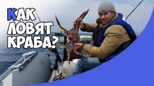 Как ловят краба? | Репортаж из Владивостока