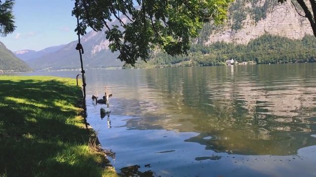 Заплыв в ледяное озеро. Хальштатт | В Европу на машине 2017 смотреть онлайн