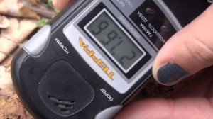 Радиация в Краснодаре. Радиоактивые деревья и земли