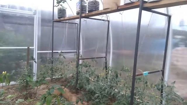 ЭТО ОЧЕНЬ ВАЖНО ПРИ ВЫРАЩИВАНИИ КЛУБНИКИ В КАШПО смотреть онлайн
