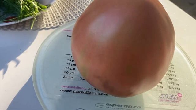 Укусил клещ . Дачная жизнь. смотреть онлайн