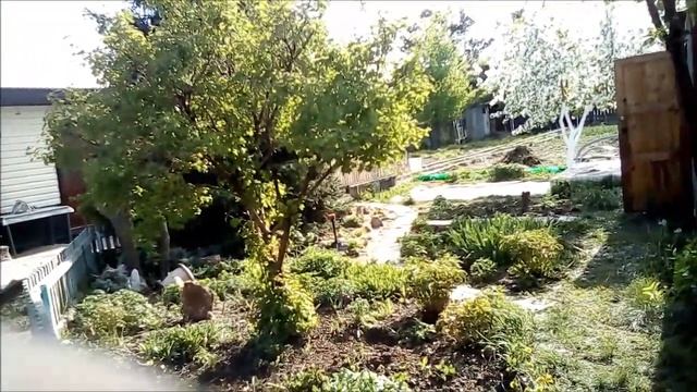 ЗАЧЕМ ДИЕТЫ ЕСЛИ ЕСТЬ ДАЧНЫЙ ФИТНЕС смотреть онлайн