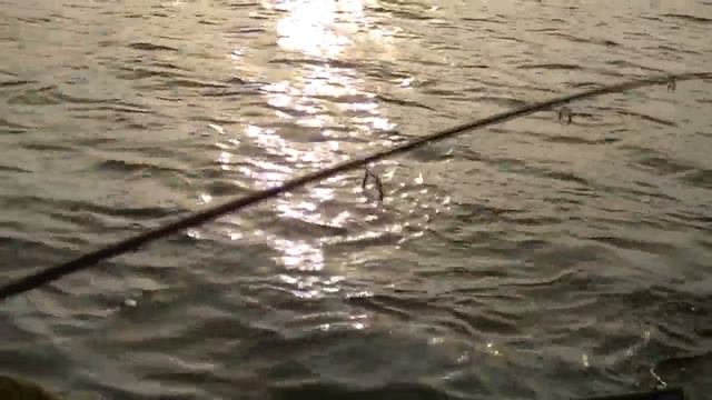 Щука 5.600 кг. + Rapala X-Rap Shad. HD. смотреть онлайн