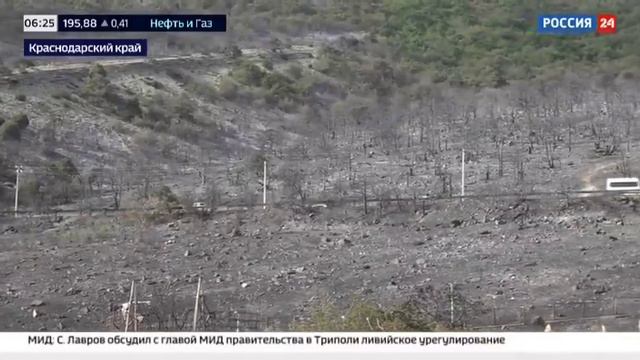 Вести 1, 17 июля 2024 - О природных пожарах в России смотреть онлайн