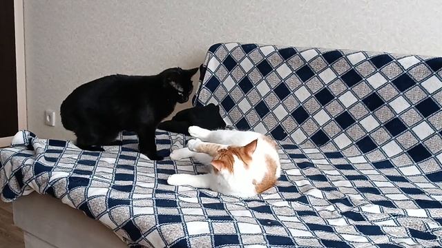 Кузя и Кнопка смотреть онлайн