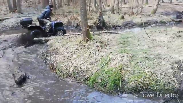 Yamaha grizzly 350 forest fun смотреть онлайн