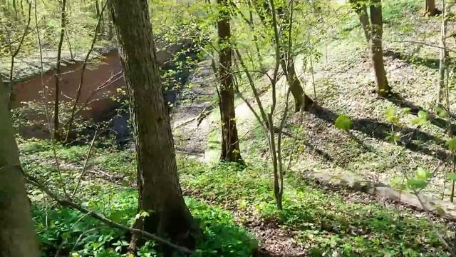 Форт №2 Bronsart bei Mandein Калининград. Königsberg.Внешний обход. смотреть онлайн