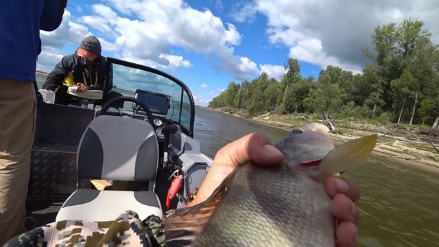 МОНСТР ГЛУБИН,ЩУКА-ЛЮДОЕД ПОЙМАНА!! Трофейная рыбалка на Оби, крупная щука,окунь,судак. смотреть онлайн
