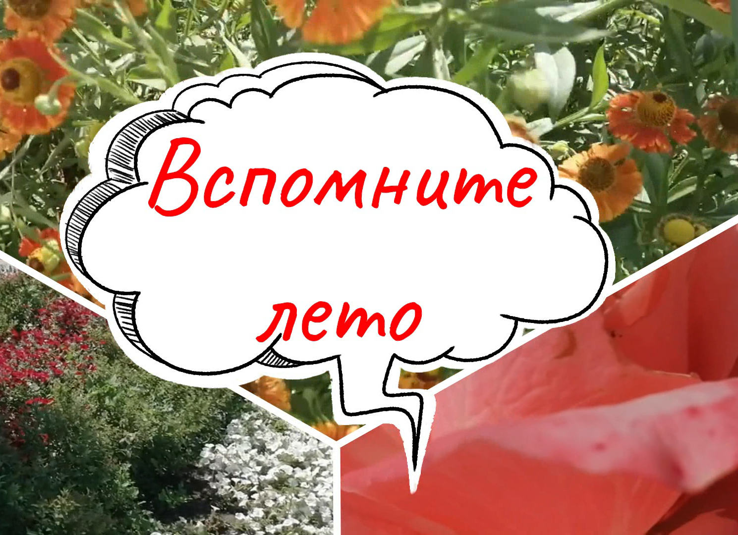 Вспомните лето