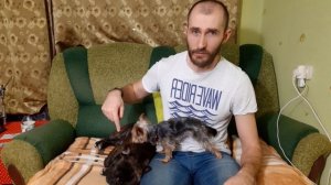 Йоркширский терьер. Вся правда!!!