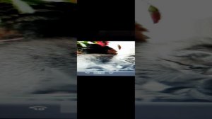 Счастливое детство!