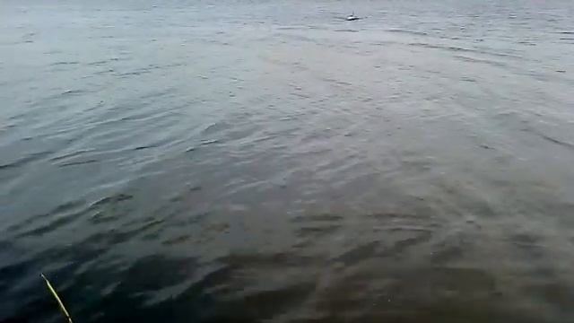 Доработка прикормочного кораблика флайтек(flytec). Увеличение скорости смотреть онлайн