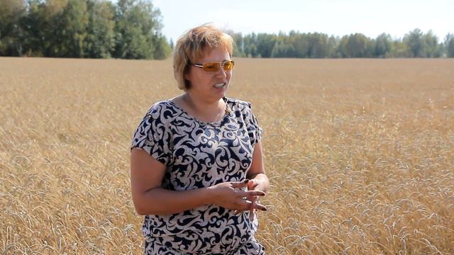 Агрономы 6 смотреть онлайн