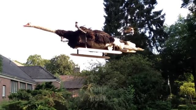 BEST CUBE #173 смотреть онлайн