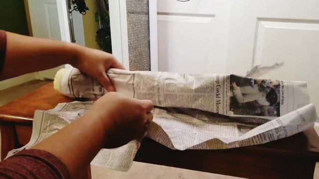 Unboxing plant mail - Epipremnum Skeleton Key смотреть онлайн