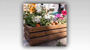 Клумбы из дерева, простые и не очень, 65 идей для вдохновения