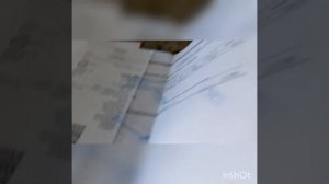 Монтаж короба для дымохода и вытяжки на кровле.