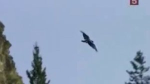 Джон Рокфеллер  Биография, история успеха