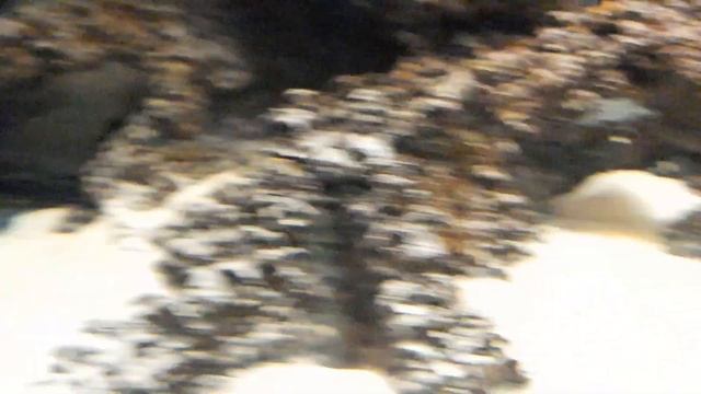 Как настроить фильтрацию и течение, чтобы не было донных отложений (свой пример)