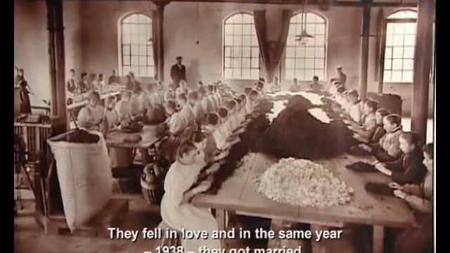 История кнорр