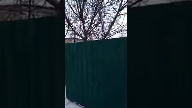 Чистка снега мотоблоки Зирка 76D смотреть онлайн