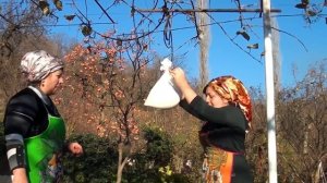 Блюда вяленого мяса баранины  Азербайджанская Кухня Деревенская Кухня  Рецепты