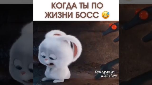 для оператора сбер смотреть онлайн