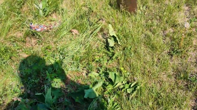 Мешок цветняка и советских плат из леса смотреть онлайн