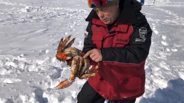 Ловим краба на Сахалине смотреть онлайн