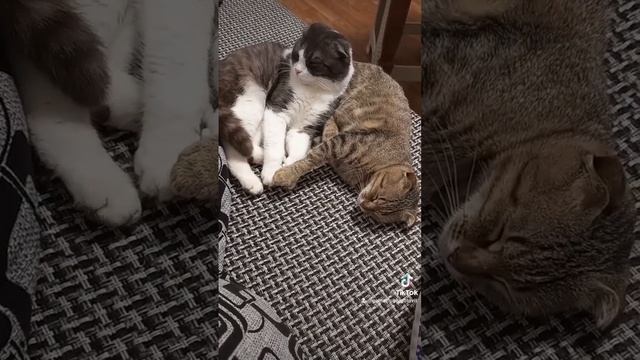 Второй подбородок смотреть онлайн