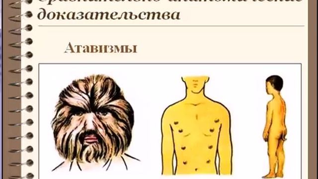 Доказательства происхождения человека от животных смотреть онлайн